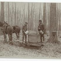 Farmers pouring liquid into tub on sleigh with horses in forest