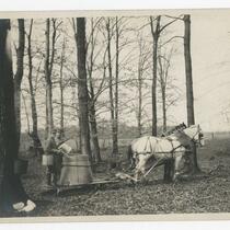Farmers pouring liquid into tub, on sleigh with horses in forest