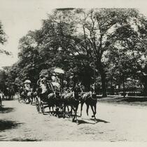 Euclid Ave Sleighing and Coaching 1880s